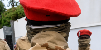 La Force du Progrès de l’UDPS, stratégie suicidaire pour le pouvoir de Tshisekedi ?