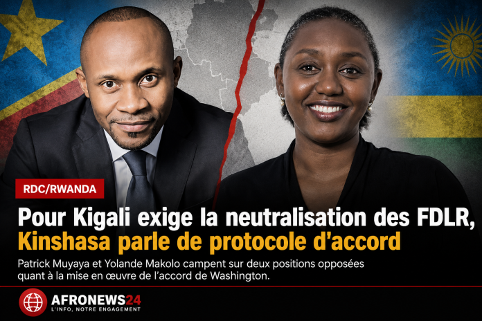 Afronews24