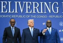 RDC : le Groupe de contact international durcit le ton sur les FDLR et interpelle Kinshasa et Kigali sur leurs engagements